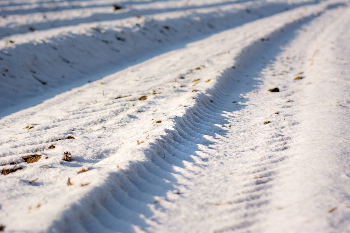 Spur eines Traktor im Schnee auf einem Feld mit Furchen