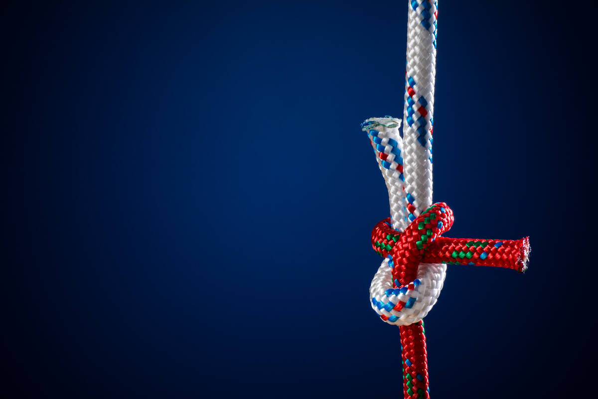 Schotstek vor blauem Hintergrund; Bild bietet Raum, um Text aufzunehmen